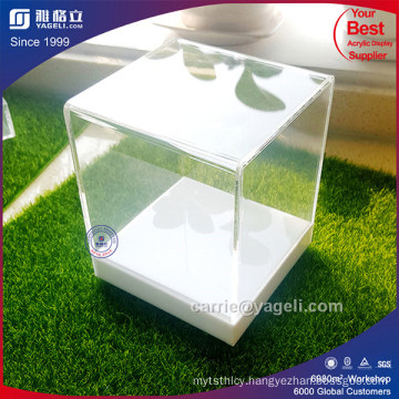 2017 Exqusite Clear & White Acrylic Box